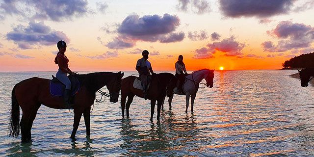 Romantic sunset horseback beach riding riambel (5)